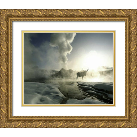 WY, Yellowstone, Castle Geyser Silhouette of elk Gold Ornate Wood Framed Art Print with Double Matting by Zuckerman, Jim