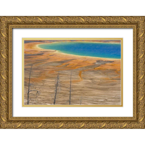 WY, Yellowstone Colorful Grand Prismatic Spring Gold Ornate Wood Framed Art Print with Double Matting by Paulson, Don