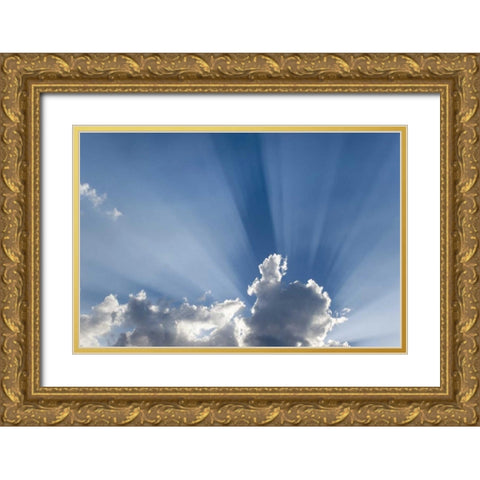 Crepuscular or Gods rays streak past cloud Gold Ornate Wood Framed Art Print with Double Matting by Paulson, Don