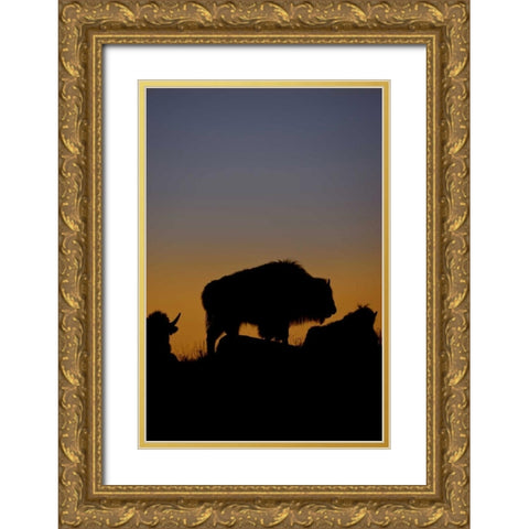 WY, Yellowstone Bson silhouetted at sunset Gold Ornate Wood Framed Art Print with Double Matting by Grall, Don