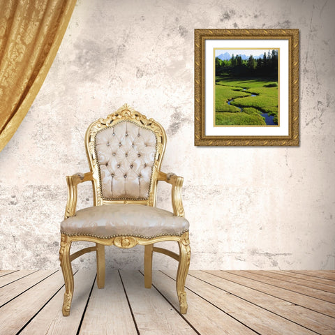 WY, Grand Tetons above a lush meadow Gold Ornate Wood Framed Art Print with Double Matting by Talbot Frank, Christopher