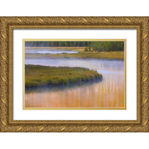 Wyoming, Yellowstone Morning at Madison River Gold Ornate Wood Framed Art Print with Double Matting by Paulson, Don