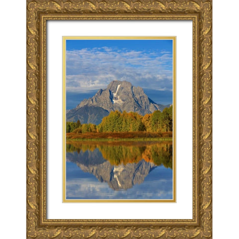 Wyoming, Grand Teton NP Sunrise on Snake River Gold Ornate Wood Framed Art Print with Double Matting by Paulson, Don