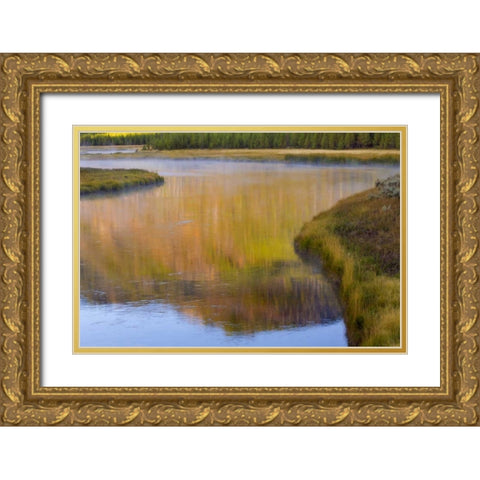 Wyoming, Yellowstone Morning at Madison River Gold Ornate Wood Framed Art Print with Double Matting by Paulson, Don