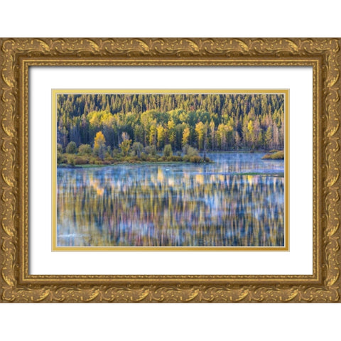 WY, Grand Tetons Swans and forest reflection Gold Ornate Wood Framed Art Print with Double Matting by Paulson, Don