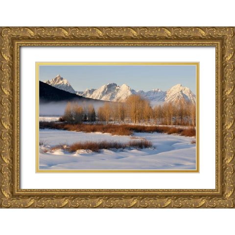 Wyoming, Grand Tetons NP Oxbow Bend in winter Gold Ornate Wood Framed Art Print with Double Matting by Bush, Marie