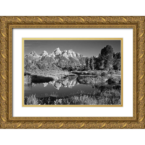 USA, Wyoming, Grand Teton NP Mountain sunrise Gold Ornate Wood Framed Art Print with Double Matting by Flaherty, Dennis