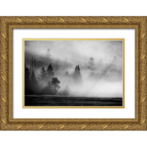 USA-Wyoming-Yellowstone National Park-Early morning fog with light rays through the trees Gold Ornate Wood Framed Art Print with Double Matting by Hopkins, Cindy Miller