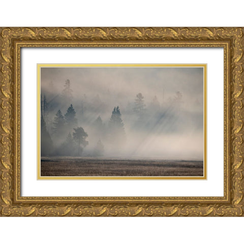 USA-Wyoming-Yellowstone National Park-Early morning fog with light rays through the trees Gold Ornate Wood Framed Art Print with Double Matting by Hopkins, Cindy Miller