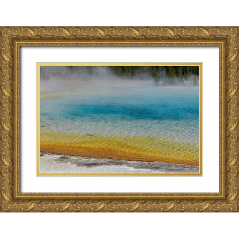 USA-Wyoming-Yellowstone National Park-Black Sand Basin-Rainbow Pool Gold Ornate Wood Framed Art Print with Double Matting by Hopkins, Cindy Miller
