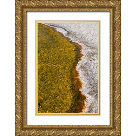USA-Wyoming-Yellowstone National Park-Biscuit Basin-Sapphire Pool-colorful thermophile river and ba Gold Ornate Wood Framed Art Print with Double Matting by Hopkins, Cindy Miller
