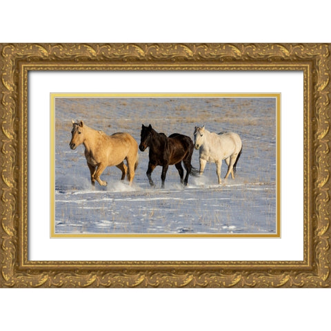 USA- Shell- Wyoming. Hideout Ranch with small herd of horses in snow.  Gold Ornate Wood Framed Art Print with Double Matting by Gulin, Darrell