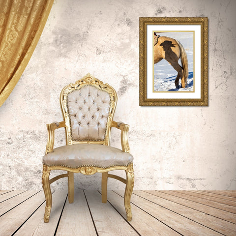 USA- Shell- Wyoming. Hideout Ranch Shadow of cowhand with hat on side of horse.  Gold Ornate Wood Framed Art Print with Double Matting by Gulin, Darrell