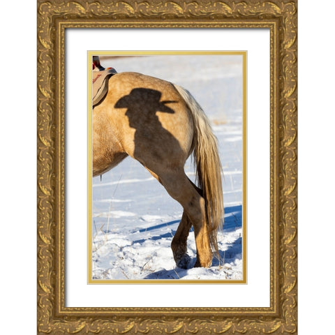 USA- Shell- Wyoming. Hideout Ranch Shadow of cowhand with hat on side of horse.  Gold Ornate Wood Framed Art Print with Double Matting by Gulin, Darrell