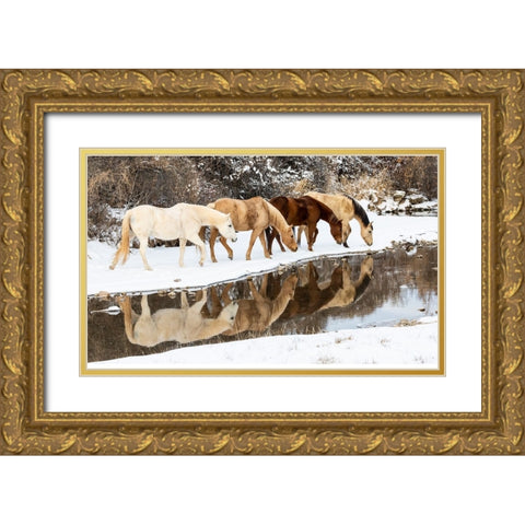 USA- Shell- Wyoming. Hideout Ranch horses in reflection Shell Creek.  Gold Ornate Wood Framed Art Print with Double Matting by Gulin, Darrell