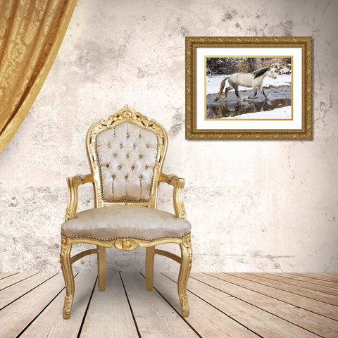 USA- Shell- Wyoming. Hideout Ranch lone horse in snow.  Gold Ornate Wood Framed Art Print with Double Matting by Gulin, Darrell