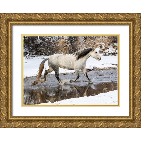 USA- Shell- Wyoming. Hideout Ranch lone horse in snow.  Gold Ornate Wood Framed Art Print with Double Matting by Gulin, Darrell