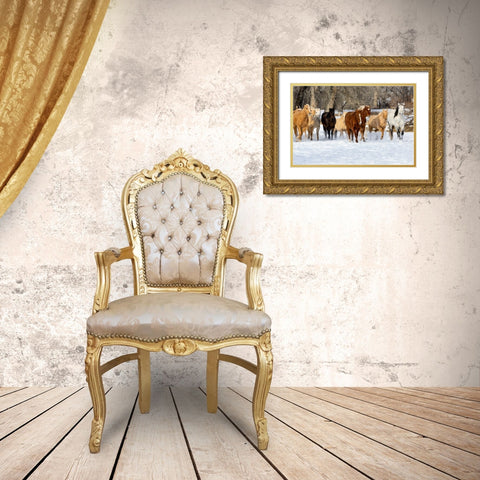 USA- Shell- Wyoming. Hideout Ranch with small herd of horses in snow.  Gold Ornate Wood Framed Art Print with Double Matting by Gulin, Darrell