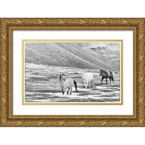 USA- Shell- Wyoming. Hideout Ranch with small herd of horses in snow.  Gold Ornate Wood Framed Art Print with Double Matting by Gulin, Darrell