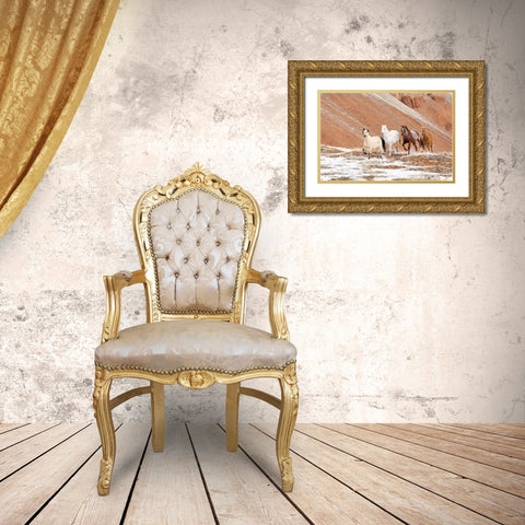 USA- Shell- Wyoming. Hideout Ranch with small herd of horses in snow.  Gold Ornate Wood Framed Art Print with Double Matting by Gulin, Darrell