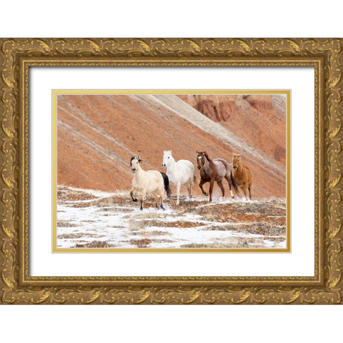 USA- Shell- Wyoming. Hideout Ranch with small herd of horses in snow.  Gold Ornate Wood Framed Art Print with Double Matting by Gulin, Darrell