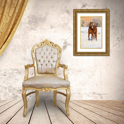USA- Shell- Wyoming. Hideout Ranch lone horse in snow.  Gold Ornate Wood Framed Art Print with Double Matting by Gulin, Darrell