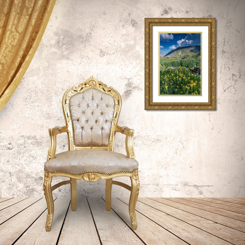Arnica and bluebell wildflowers next to creek-Absaroka Mountains near Cody and Meeteetse-Wyoming Gold Ornate Wood Framed Art Print with Double Matting by Garber, Howie