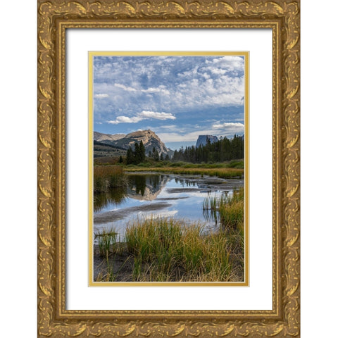 USA-Wyoming-White Rock Mountain and Squaretop Peak above Green River wetland-Wind River Mountains Gold Ornate Wood Framed Art Print with Double Matting by Garber, Howie