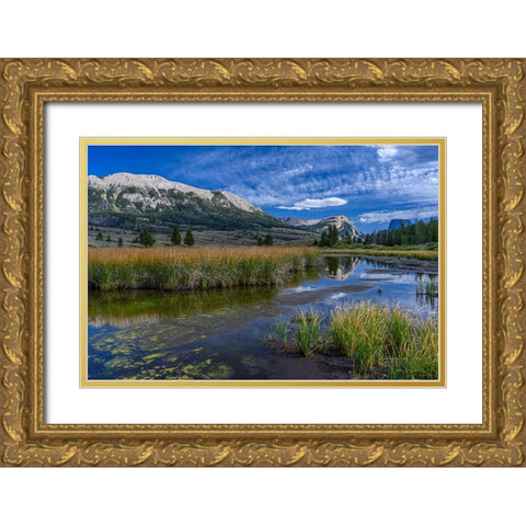 USA-Wyoming-White Rock Mountain and Squaretop Peak above Green River wetland Gold Ornate Wood Framed Art Print with Double Matting by Garber, Howie
