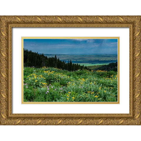USA-Wyoming-Wildflowers and view of Teton Valley-Idaho-summer-Caribou-Targhee National Forest Gold Ornate Wood Framed Art Print with Double Matting by Garber, Howie