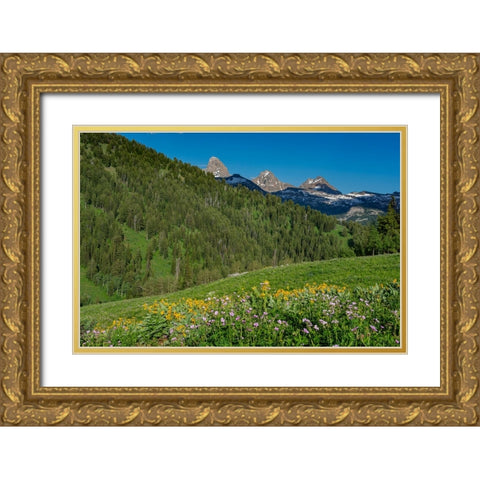 USA-Wyoming-Geranium and arrowleaf balsamroot wildflowers in meadow west side of Teton Mountains-su Gold Ornate Wood Framed Art Print with Double Matting by Garber, Howie