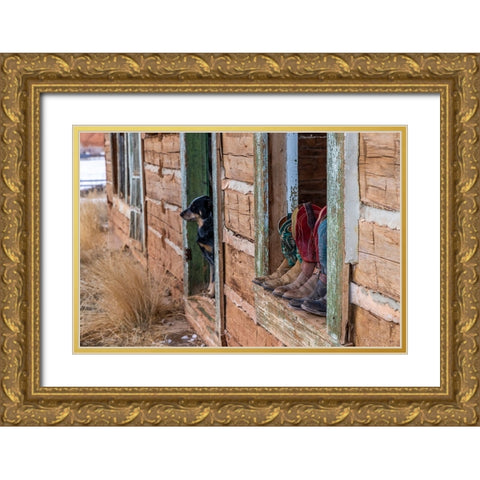 USA- Wyoming. Hideout Horse Ranch- boots on display.  Gold Ornate Wood Framed Art Print with Double Matting by Looney, Hollice