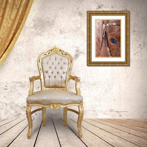 USA- Wyoming. Hideout Horse Ranch- horse detail.  Gold Ornate Wood Framed Art Print with Double Matting by Looney, Hollice