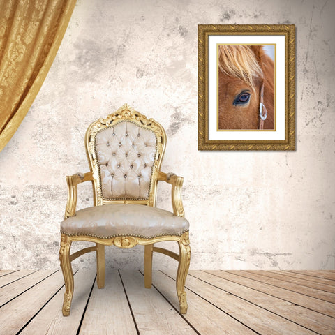 USA- Wyoming. Hideout Horse Ranch- horse detail.  Gold Ornate Wood Framed Art Print with Double Matting by Looney, Hollice