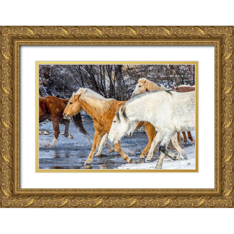 USA- Wyoming. Hideout Horse Ranch- horses crossing the stream.  Gold Ornate Wood Framed Art Print with Double Matting by Looney, Hollice