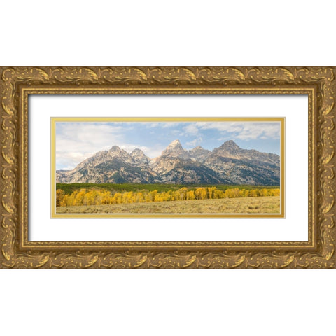 Wyoming- Grand Teton National Park. Teton Range with Grand Teton and golden Aspen trees Gold Ornate Wood Framed Art Print with Double Matting by Wild, Jamie and Judy