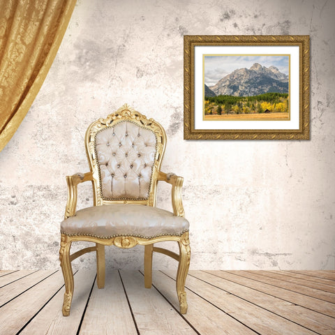 Wyoming- Grand Teton National Park. Teton Range and golden Aspen trees Gold Ornate Wood Framed Art Print with Double Matting by Wild, Jamie and Judy
