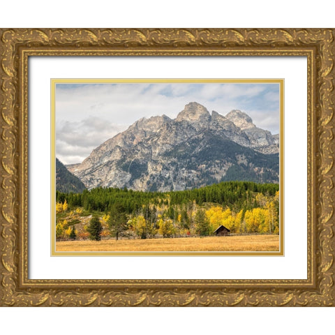 Wyoming- Grand Teton National Park. Teton Range and golden Aspen trees Gold Ornate Wood Framed Art Print with Double Matting by Wild, Jamie and Judy
