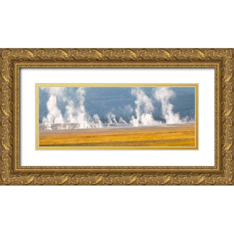 Wyoming- Yellowstone National Park. Thermal activity at Lower Geyser Basin Gold Ornate Wood Framed Art Print with Double Matting by Wild, Jamie and Judy
