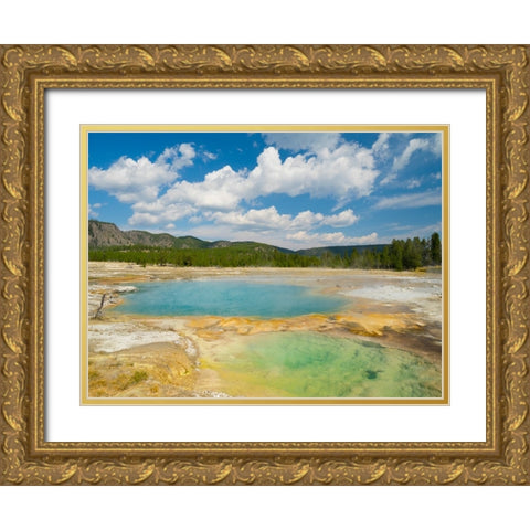 Wyoming- Yellowstone National Park. Black Opal Spring- Upper Geyser Basin Gold Ornate Wood Framed Art Print with Double Matting by Wild, Jamie and Judy