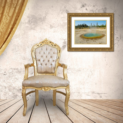 Wyoming- Yellowstone National Park. West Thumb Geyser Basin- Abyss Pool Gold Ornate Wood Framed Art Print with Double Matting by Wild, Jamie and Judy