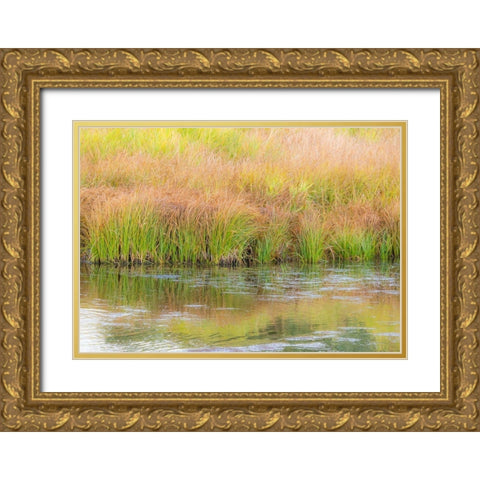 Wyoming-Grand Tetons National Park waters edge Snake River and golden grasses reflected in water Gold Ornate Wood Framed Art Print with Double Matting by Gulin, Sylvia