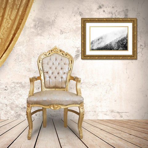 Wyoming-Hoback-clouds intermingling with evergreens on rainy morning in black and white Gold Ornate Wood Framed Art Print with Double Matting by Gulin, Sylvia