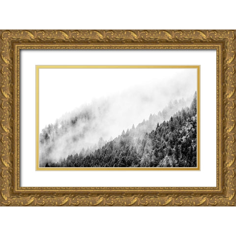 Wyoming-Hoback-clouds intermingling with evergreens on rainy morning in black and white Gold Ornate Wood Framed Art Print with Double Matting by Gulin, Sylvia
