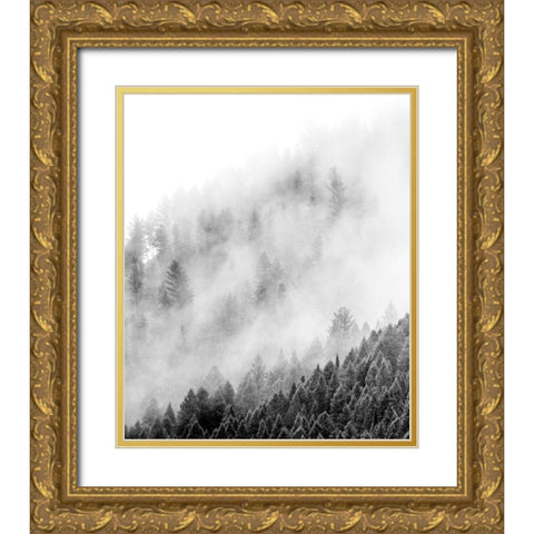 Wyoming-Hoback-clouds intermingling with evergreens on rainy morning in black and white Gold Ornate Wood Framed Art Print with Double Matting by Gulin, Sylvia