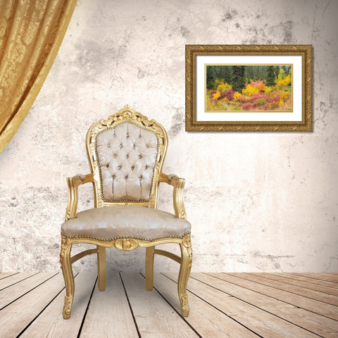Wyoming-Hoback fall colors along Highway 89 with Dogwood-Willow-Evergreens-Aspens Gold Ornate Wood Framed Art Print with Double Matting by Gulin, Sylvia