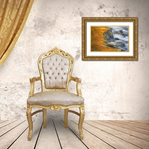 Northeast, Fall reflections on stream rapids Gold Ornate Wood Framed Art Print with Double Matting by Rotenberg, Nancy