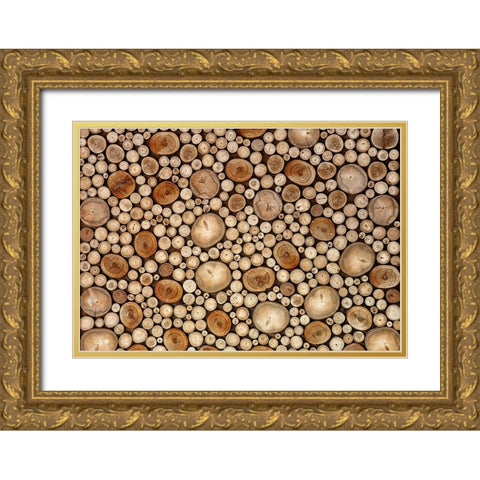 Circles Gold Ornate Wood Framed Art Print with Double Matting by Ianeva, Aida