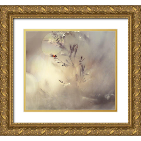 Little Lady Gold Ornate Wood Framed Art Print with Double Matting by Westum, Heidi