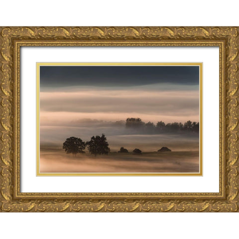 Dense Fog Over The Moos... Gold Ornate Wood Framed Art Print with Double Matting by Pauli, Nina